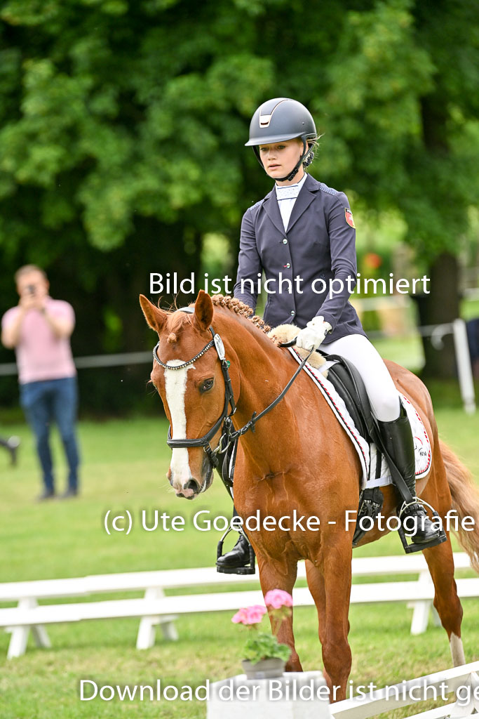  | 30052025 Dressur  (2240) 
