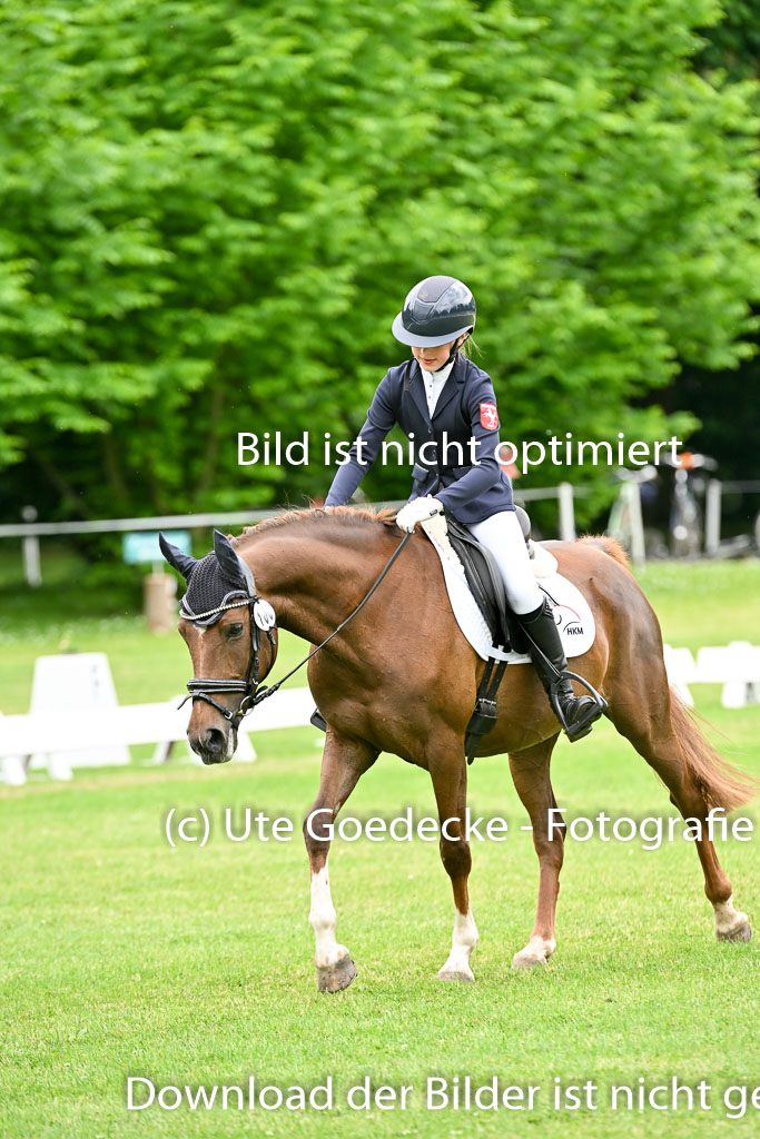  | 30052025 Dressur  (2255) 