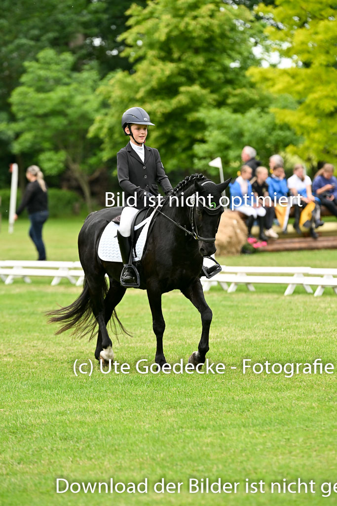  | 30052025 Dressur  (2259) 