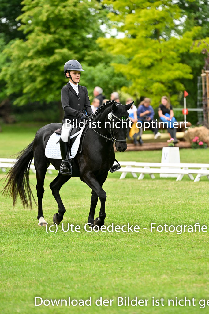  | 30052025 Dressur  (2260) 