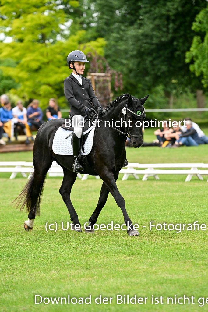  | 30052025 Dressur  (2261) 