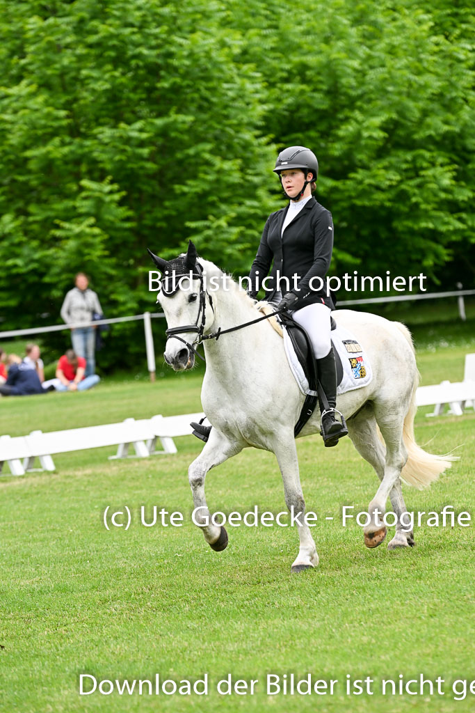  | 30052025 Dressur  (2262) 