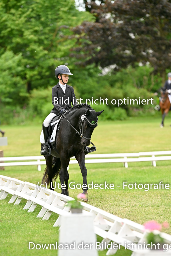  | 30052025 Dressur  (2266) 