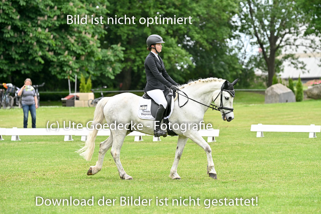  | 30052025 Dressur  (2267) 