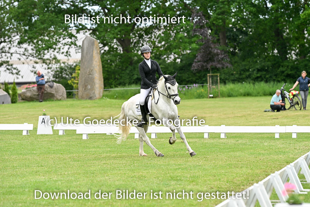  | 30052025 Dressur  (2277) 