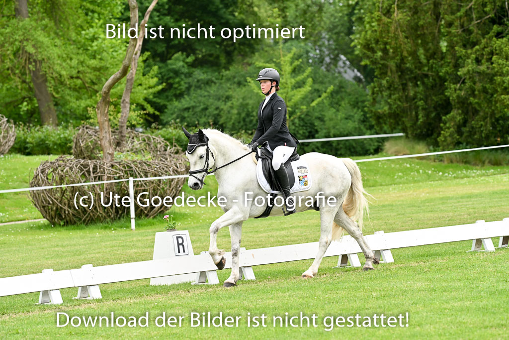  | 30052025 Dressur  (2287) 