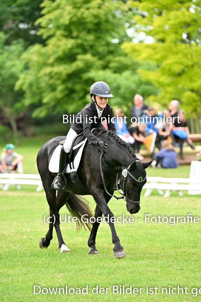  | 30052025 Dressur  (2293) 
