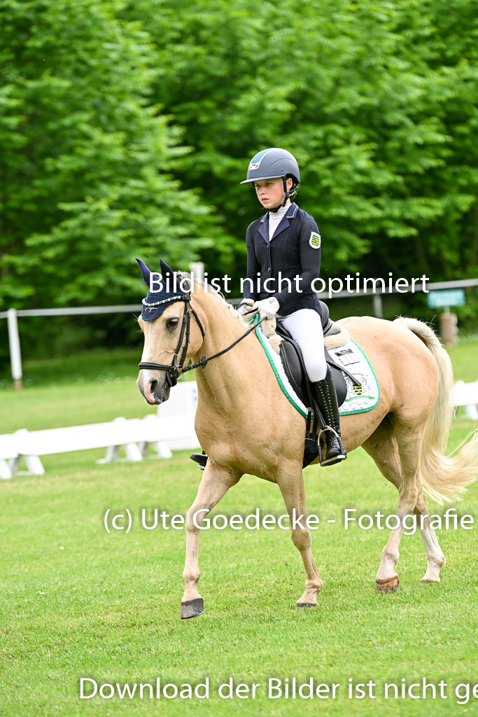  | 30052025 Dressur  (2304) 