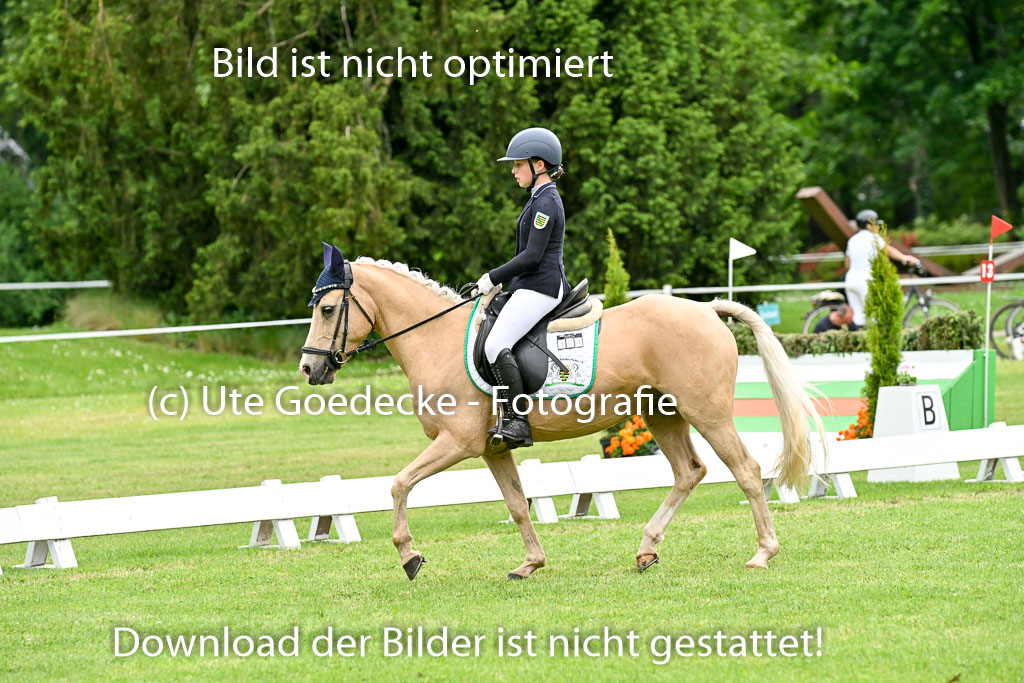  | 30052025 Dressur  (2307) 