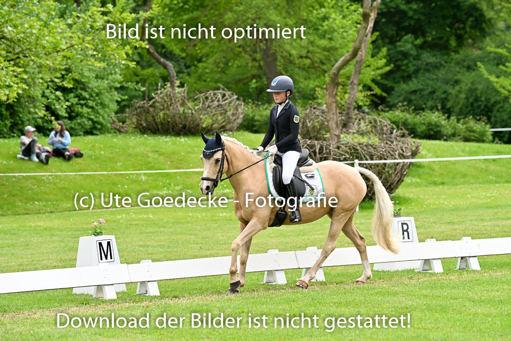  | 30052025 Dressur  (2320) 