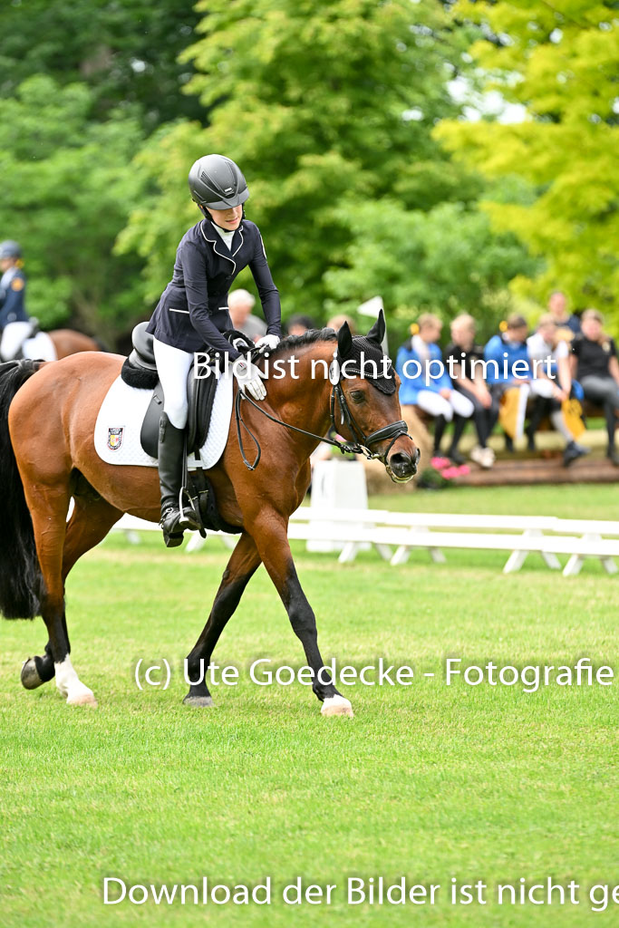  | 30052025 Dressur  (2324) 