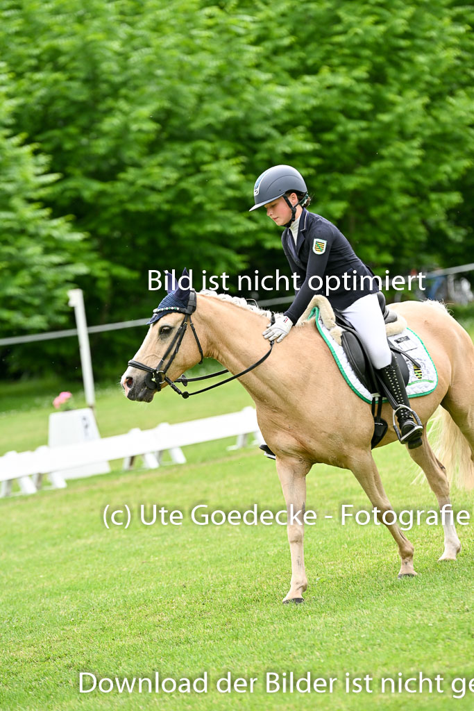  | 30052025 Dressur  (2326) 