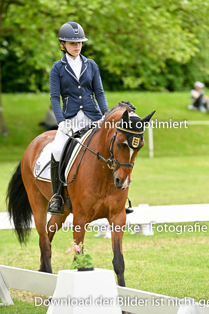  | 30052025 Dressur  (2329) 