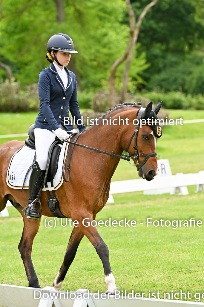  | 30052025 Dressur  (2346) 