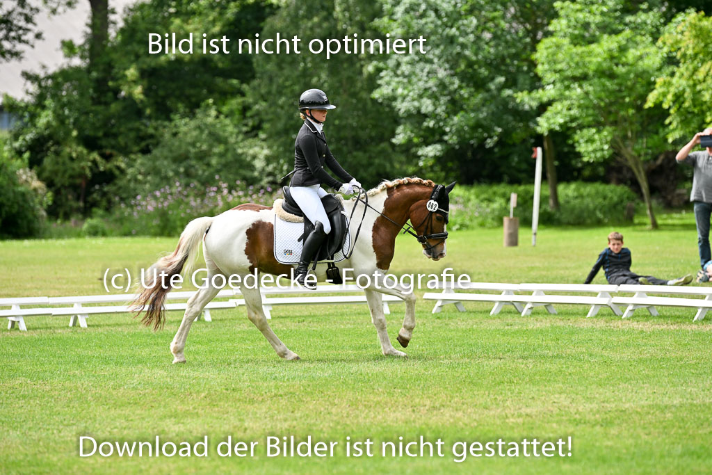  | 30052025 Dressur  (2349) 