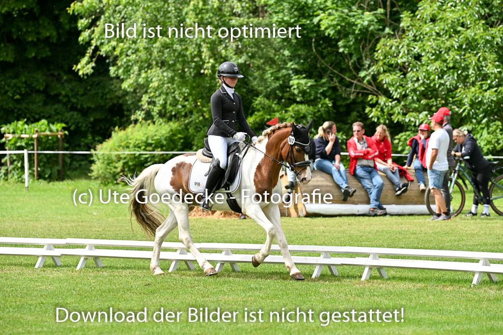  | 30052025 Dressur  (2352) 
