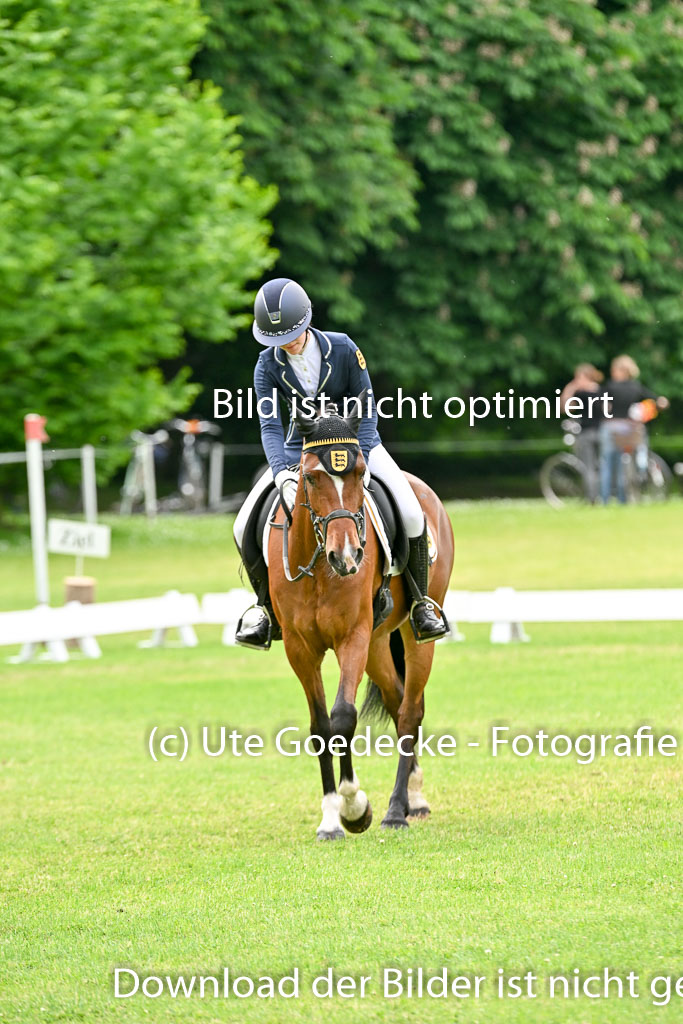  | 30052025 Dressur  (2365) 