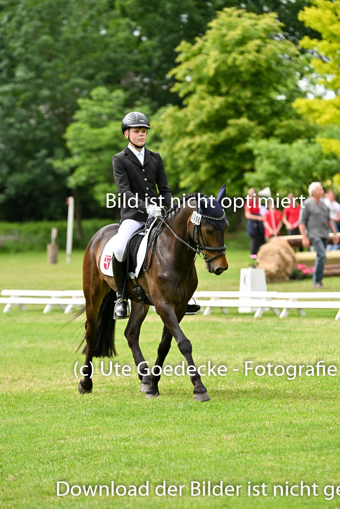  | 30052025 Dressur  (2370) 