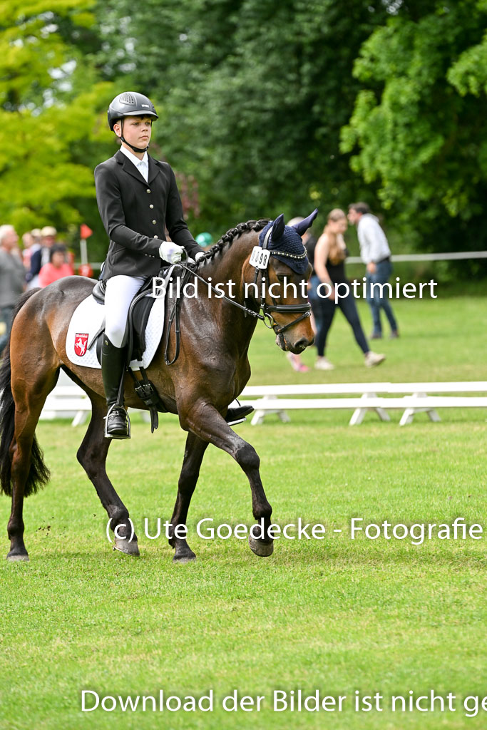  | 30052025 Dressur  (2371) 