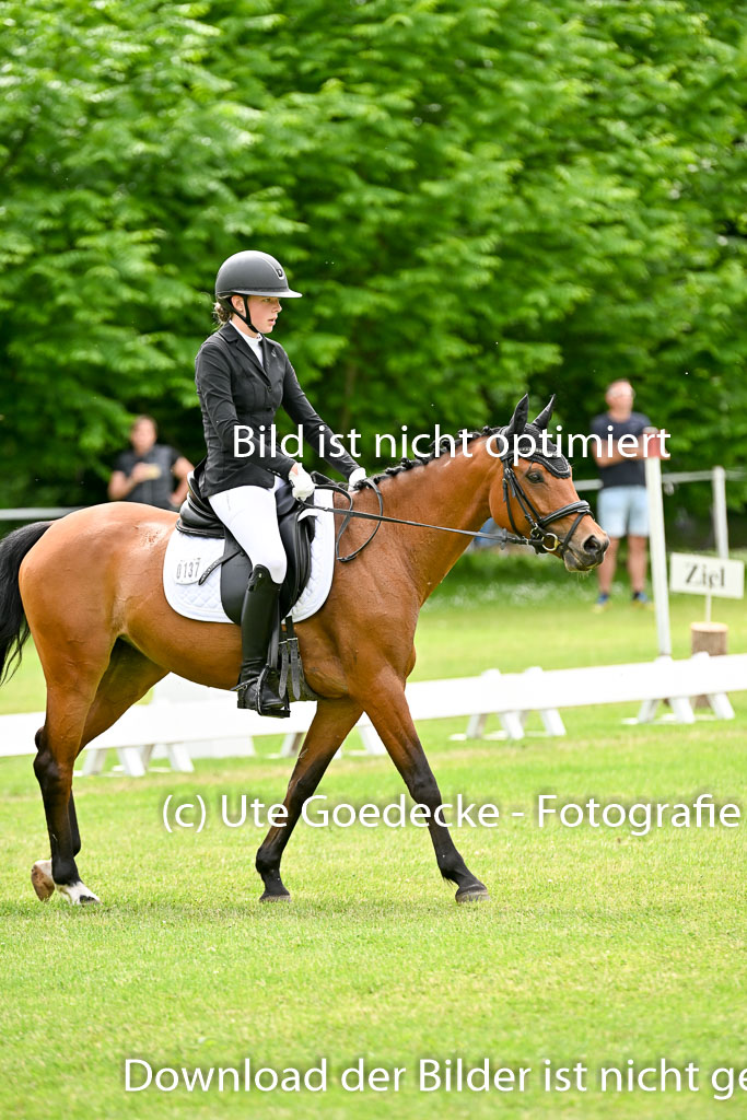 | 30052025 Dressur  (2374) 