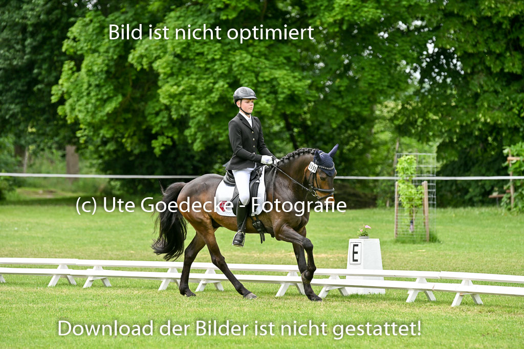  | 30052025 Dressur  (2379) 