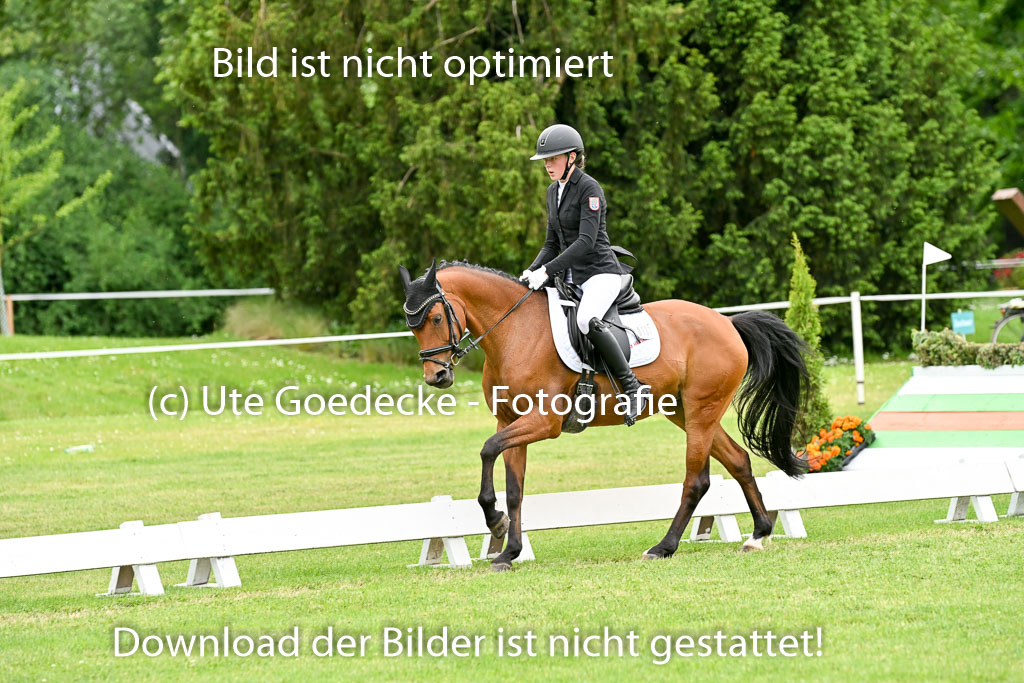  | 30052025 Dressur  (2389) 