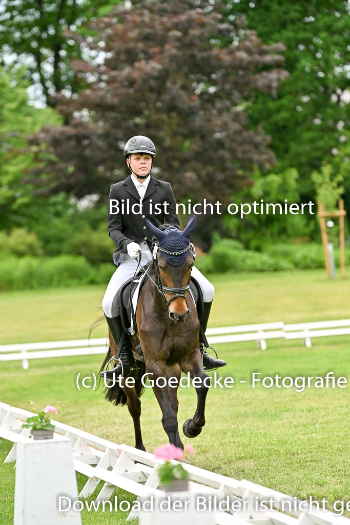  | 30052025 Dressur  (2392) 
