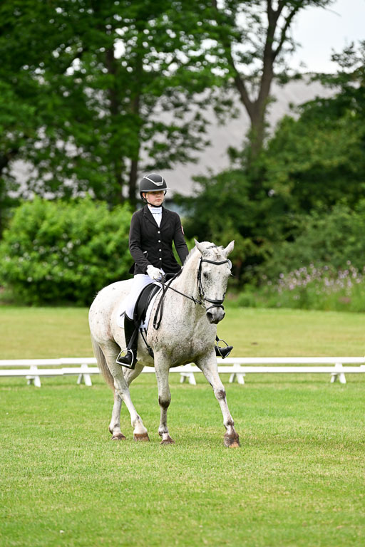  | 30052025 Dressur  (2024) 