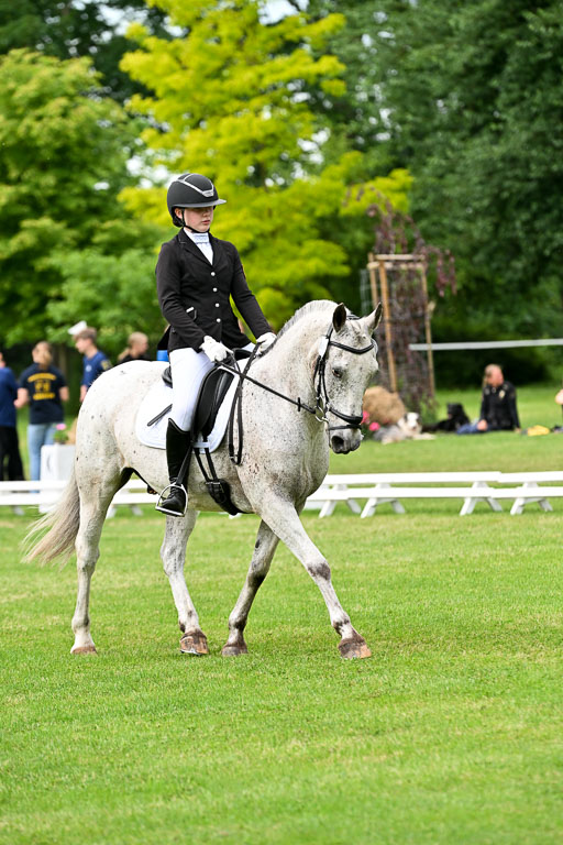  | 30052025 Dressur  (2028) 