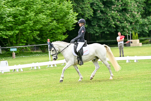  | 30052025 Dressur  (2031) 