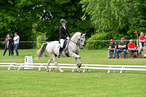  | 30052025 Dressur  (2041) 