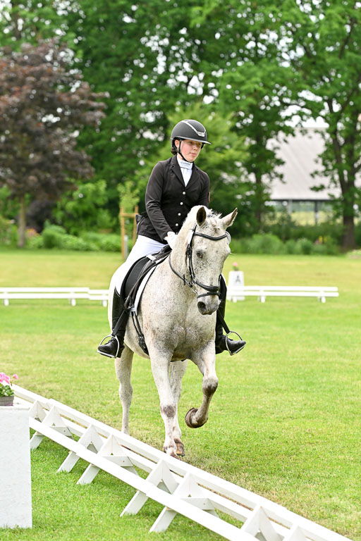  | 30052025 Dressur  (2050) 