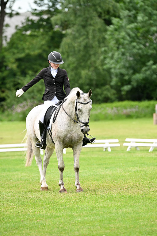  | 30052025 Dressur  (2055) 