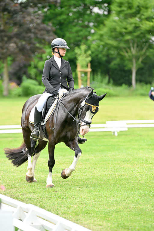  | 30052025 Dressur  (2061) 