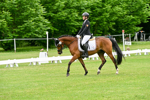  | 30052025 Dressur  (2075) 