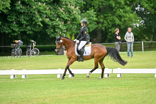  | 30052025 Dressur  (2087) 