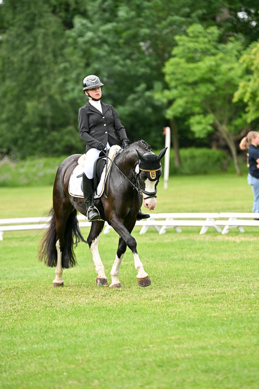  | 30052025 Dressur  (2090) 