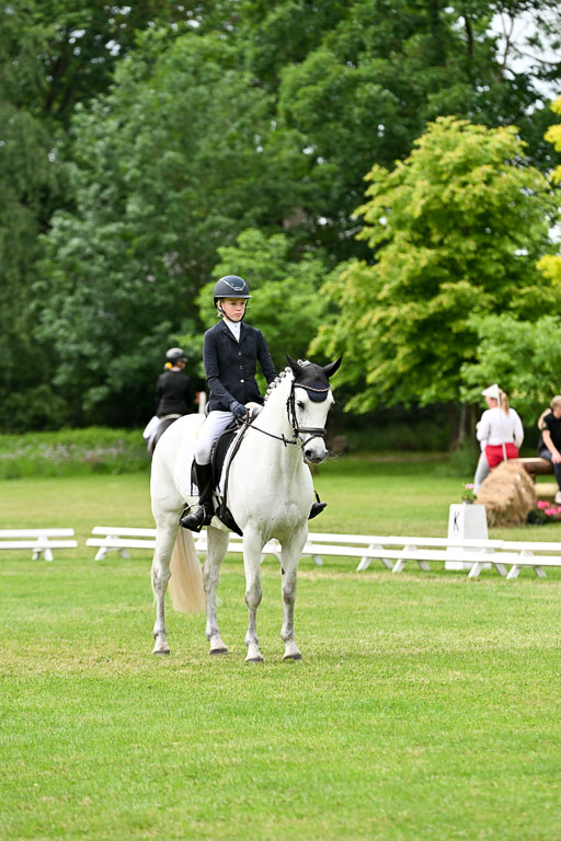  | 30052025 Dressur  (2102) 