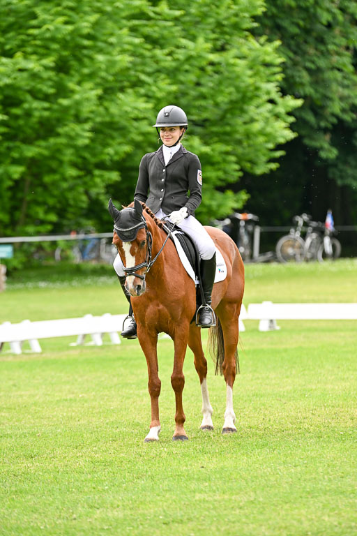  | 30052025 Dressur  (2108) 