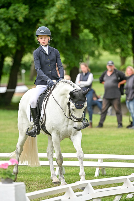  | 30052025 Dressur  (2113) 