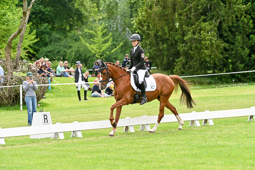  | 30052025 Dressur  (2136) 