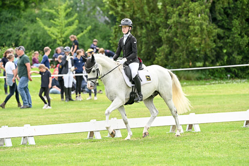  | 30052025 Dressur  (2146) 
