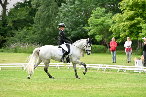  | 30052025 Dressur  (2165) 