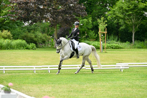  | 30052025 Dressur  (2177) 