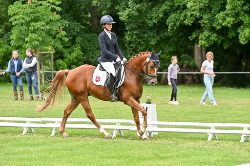  | 30052025 Dressur  (2209) 