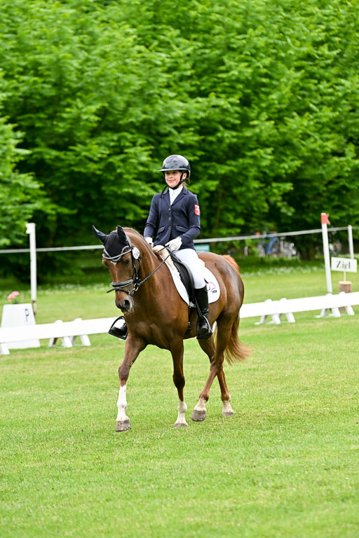  | 30052025 Dressur  (2230) 