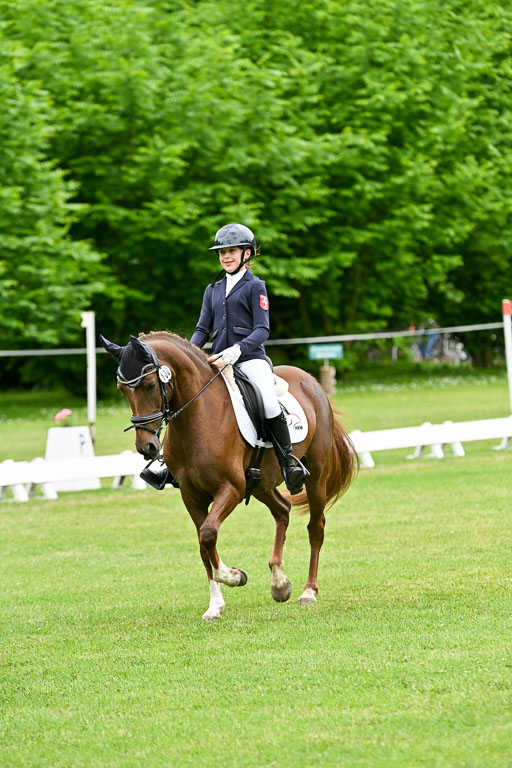  | 30052025 Dressur  (2231) 