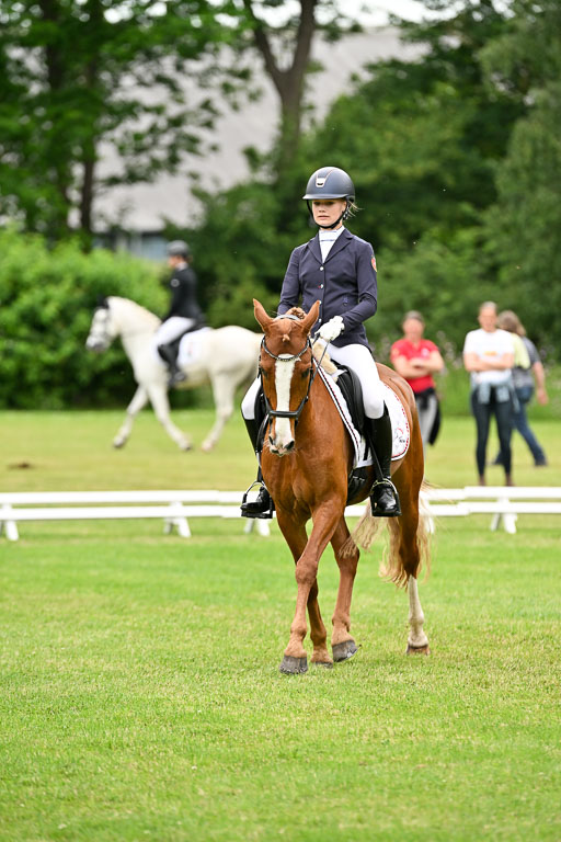  | 30052025 Dressur  (2233) 