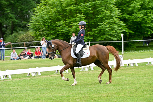  | 30052025 Dressur  (2236) 