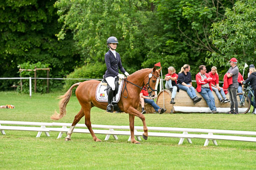  | 30052025 Dressur  (2244) 